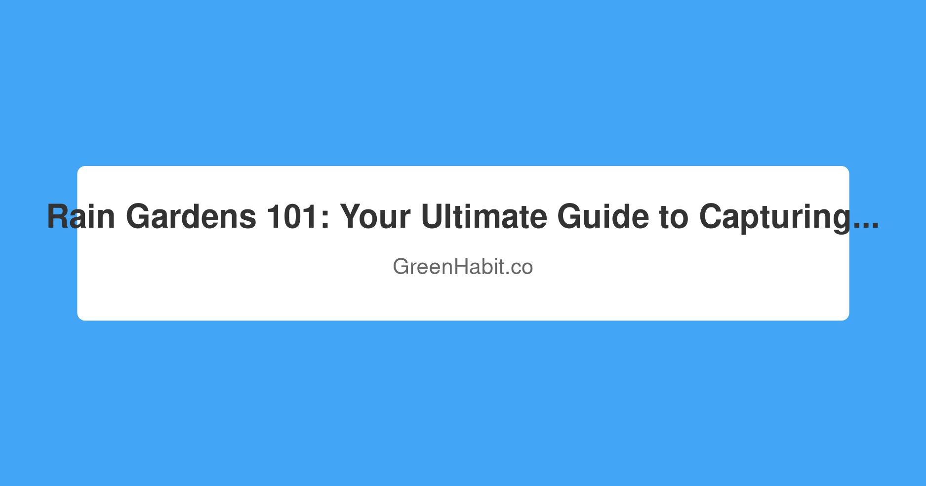 Rain Gardens 101: Your Ultimate Guide to Capturing Stormwater and Creating a Beautiful, Eco-Friendly Yard